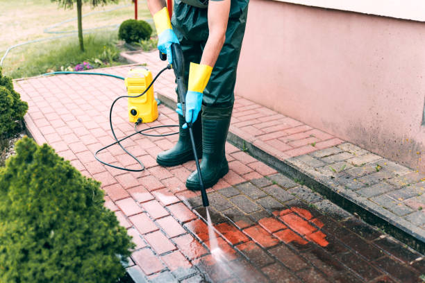 Best Roof Washing  in Stirling, NJ
